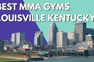 Top Louisville MMA Gyms & Training Centers Ultimate Guide to MMA: Training, Techniques, and Top Fighters in The World Top Louisville MMA Gyms & Training Centers | Ultimate Guide to MMA: Training, Techniques, and Top Fighters in The World