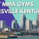 Top Louisville MMA Gyms & Training Centers | Ultimate Guide to MMA: Training, Techniques, and Top Fighters in The World