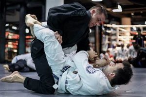 Dominating MMA with the Full Guard Ultimate Guide to MMA: Training, Techniques, and Top Fighters in The World Dominating MMA with the Full Guard | Ultimate Guide to MMA: Training, Techniques, and Top Fighters in The World