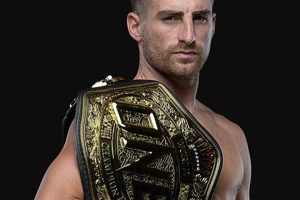 The Ultimate Guide to Haggerty MMA Stats | Ultimate Guide to MMA: Training, Techniques, and Top Fighters in The World