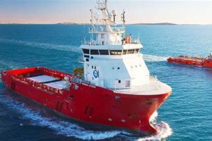 Offshore MMA: Events, Regulations & Future | Ultimate Guide to MMA: Training, Techniques, and Top Fighters in The World