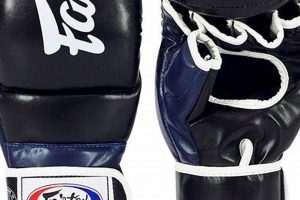 Best Fairtex FGV18 MMA Gloves for Sparring Ultimate Guide to MMA: Training, Techniques, and Top Fighters in The World Best Fairtex FGV18 MMA Gloves for Sparring | Ultimate Guide to MMA: Training, Techniques, and Top Fighters in The World
