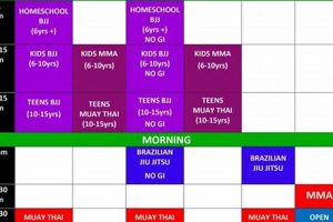 Ultimate Monster MMA Schedule 2024 Ultimate Guide to MMA: Training, Techniques, and Top Fighters in The World Ultimate Monster MMA Schedule 2024 | Ultimate Guide to MMA: Training, Techniques, and Top Fighters in The World