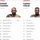 Mma Ufc Rankings | Ultimate Guide to MMA: Training, Techniques, and Top Fighters in The World