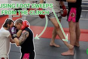 Top MMA Fighters & Their Devastating Foot Sweeps Ultimate Guide to MMA: Training, Techniques, and Top Fighters in The World Top MMA Fighters & Their Devastating Foot Sweeps | Ultimate Guide to MMA: Training, Techniques, and Top Fighters in The World