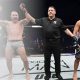 Become a Pro MMA Fighter: The Ultimate Guide | Ultimate Guide to MMA: Training, Techniques, and Top Fighters in The World