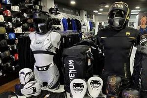 Ultimate Estilo MMA Guide: Dominate the Octagon | Ultimate Guide to MMA: Training, Techniques, and Top Fighters in The World