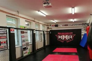 Train with the Best: Brothers MMA Gym Ultimate Guide to MMA: Training, Techniques, and Top Fighters in The World Train with the Best: Brothers MMA Gym | Ultimate Guide to MMA: Training, Techniques, and Top Fighters in The World