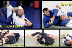 Mastering the Triangle Lock in MMA Ultimate Guide to MMA: Training, Techniques, and Top Fighters in The World Mastering the Triangle Lock in MMA | Ultimate Guide to MMA: Training, Techniques, and Top Fighters in The World