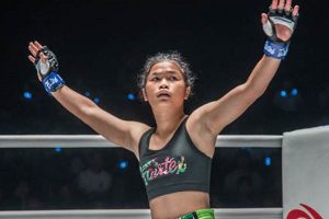 Top MMA Fighters in Asia: Rise of Champions Ultimate Guide to MMA: Training, Techniques, and Top Fighters in The World Top MMA Fighters in Asia: Rise of Champions | Ultimate Guide to MMA: Training, Techniques, and Top Fighters in The World
