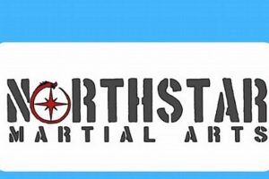 Train with Northstar MMA: Your MMA Journey | Ultimate Guide to MMA: Training, Techniques, and Top Fighters in The World