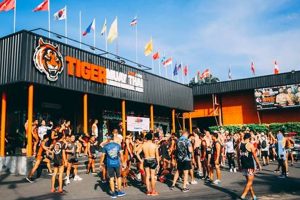 Tiger Muay Thai MMA Camp Phuket: Train Like a Fighter Ultimate Guide to MMA: Training, Techniques, and Top Fighters in The World Tiger Muay Thai MMA Camp Phuket: Train Like a Fighter | Ultimate Guide to MMA: Training, Techniques, and Top Fighters in The World