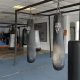 Best MMA Gyms &amp; Training in Baton Rouge | Ultimate Guide to MMA: Training, Techniques, and Top Fighters in The World