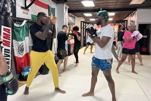 Best MMA Gyms & Events in Brooklyn, NY Ultimate Guide to MMA: Training, Techniques, and Top Fighters in The World Best MMA Gyms & Events in Brooklyn, NY | Ultimate Guide to MMA: Training, Techniques, and Top Fighters in The World