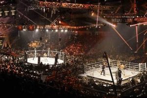Michigan Mma Events | Ultimate Guide to MMA: Training, Techniques, and Top Fighters in The World