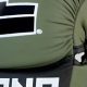 Best Combat Corner MMA Sparring Gloves for Training | Ultimate Guide to MMA: Training, Techniques, and Top Fighters in The World