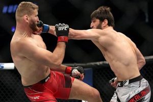 Top MMA Careers: Guide & Job Outlook | Ultimate Guide to MMA: Training, Techniques, and Top Fighters in The World