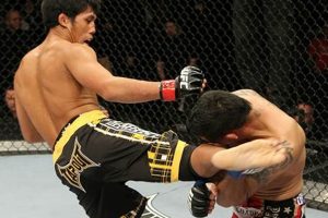 Discover Nam Phan MMA: Vietnamese Martial Arts Ultimate Guide to MMA: Training, Techniques, and Top Fighters in The World Discover Nam Phan MMA: Vietnamese Martial Arts | Ultimate Guide to MMA: Training, Techniques, and Top Fighters in The World