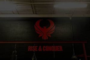 Top Phoenix MMA Gyms: Train Like a Pro | Ultimate Guide to MMA: Training, Techniques, and Top Fighters in The World