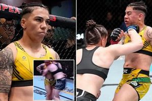 Nip Slips In Mma Ultimate Guide to MMA: Training, Techniques, and Top Fighters in The World Nip Slips In Mma | Ultimate Guide to MMA: Training, Techniques, and Top Fighters in The World