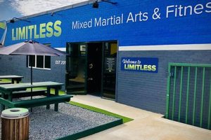 Unleash Your Limitless MMA Potential | Ultimate Guide to MMA: Training, Techniques, and Top Fighters in The World