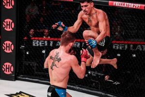 Best Chicago MMA Gyms & Training Ultimate Guide to MMA: Training, Techniques, and Top Fighters in The World Best Chicago MMA Gyms & Training | Ultimate Guide to MMA: Training, Techniques, and Top Fighters in The World