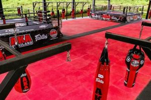 Train at AKA MMA Thailand: Top MMA Gym Ultimate Guide to MMA: Training, Techniques, and Top Fighters in The World Train at AKA MMA Thailand: Top MMA Gym | Ultimate Guide to MMA: Training, Techniques, and Top Fighters in The World