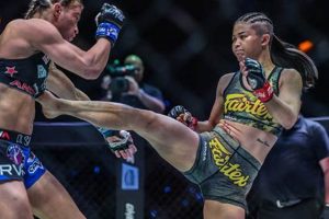 The Ultimate MMA Stamp of Approval Guide Ultimate Guide to MMA: Training, Techniques, and Top Fighters in The World The Ultimate MMA Stamp of Approval Guide | Ultimate Guide to MMA: Training, Techniques, and Top Fighters in The World