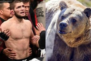 Young Khabib vs. Bear: Early Wrestling Days Ultimate Guide to MMA: Training, Techniques, and Top Fighters in The World Young Khabib vs. Bear: Early Wrestling Days | Ultimate Guide to MMA: Training, Techniques, and Top Fighters in The World