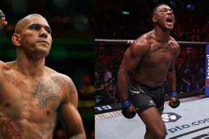 Watch MMA: Crackstream Alternatives & Legal Streams Ultimate Guide to MMA: Training, Techniques, and Top Fighters in The World Watch MMA: Crackstream Alternatives & Legal Streams | Ultimate Guide to MMA: Training, Techniques, and Top Fighters in The World