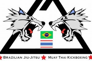 Twin Wolves MMA: Dominating the Cage Ultimate Guide to MMA: Training, Techniques, and Top Fighters in The World Twin Wolves MMA: Dominating the Cage | Ultimate Guide to MMA: Training, Techniques, and Top Fighters in The World