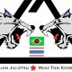 Twin Wolves MMA: Dominating the Cage | Ultimate Guide to MMA: Training, Techniques, and Top Fighters in The World