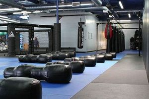 Train Like a Pro: Elite MMA Gym & Fitness Ultimate Guide to MMA: Training, Techniques, and Top Fighters in The World Train Like a Pro: Elite MMA Gym & Fitness | Ultimate Guide to MMA: Training, Techniques, and Top Fighters in The World