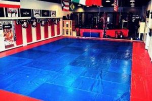 Top MMA Gyms in San Antonio: Find Your Fit Ultimate Guide to MMA: Training, Techniques, and Top Fighters in The World Top MMA Gyms in San Antonio: Find Your Fit | Ultimate Guide to MMA: Training, Techniques, and Top Fighters in The World