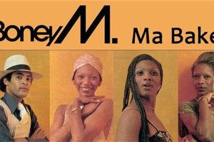 The Boney MMA Baker: Fighter & Foodie | Ultimate Guide to MMA: Training, Techniques, and Top Fighters in The World