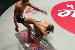 Banned Soccer Kick MMA: Brutal History & Rules Ultimate Guide to MMA: Training, Techniques, and Top Fighters in The World Banned Soccer Kick MMA: Brutal History & Rules | Ultimate Guide to MMA: Training, Techniques, and Top Fighters in The World