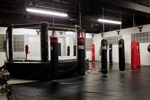 Best MMA Gyms & Training in Pittsburgh, PA Ultimate Guide to MMA: Training, Techniques, and Top Fighters in The World Best MMA Gyms & Training in Pittsburgh, PA | Ultimate Guide to MMA: Training, Techniques, and Top Fighters in The World