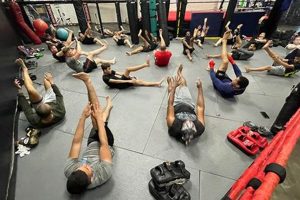 Best MMA Gym in Oceanside | Top Training | Ultimate Guide to MMA: Training, Techniques, and Top Fighters in The World