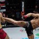MMA Fighter Bogdan Grad: Bio, Record, & Highlights | Ultimate Guide to MMA: Training, Techniques, and Top Fighters in The World
