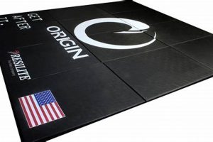 Best MMA Mats: Ultimate Guide & Reviews | Ultimate Guide to MMA: Training, Techniques, and Top Fighters in The World