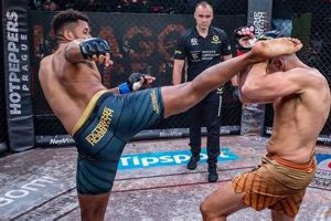 The Future of MMA: Exploring MMA V Ultimate Guide to MMA: Training, Techniques, and Top Fighters in The World The Future of MMA: Exploring MMA V | Ultimate Guide to MMA: Training, Techniques, and Top Fighters in The World