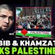 Khabib Palestine | Ultimate Guide to MMA: Training, Techniques, and Top Fighters in The World