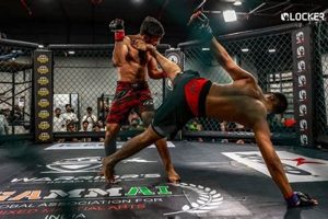 Top Amateur MMA Fights: Rising Stars Ultimate Guide to MMA: Training, Techniques, and Top Fighters in The World Top Amateur MMA Fights: Rising Stars | Ultimate Guide to MMA: Training, Techniques, and Top Fighters in The World