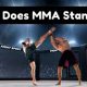 Does MMA Training Really Work? | Ultimate Guide to MMA: Training, Techniques, and Top Fighters in The World