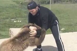 Young Khabib Wrestling Bear Cub: Early Training Ultimate Guide to MMA: Training, Techniques, and Top Fighters in The World Young Khabib Wrestling Bear Cub: Early Training | Ultimate Guide to MMA: Training, Techniques, and Top Fighters in The World
