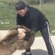 Young Khabib Wrestling Bear Cub: Early Training | Ultimate Guide to MMA: Training, Techniques, and Top Fighters in The World