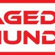 Unleash the Fury: Caged Thunder MMA Fights | Ultimate Guide to MMA: Training, Techniques, and Top Fighters in The World