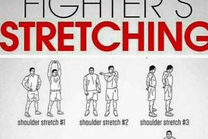Best MMA Stretching Exercises For Flexibility & Power Ultimate Guide to MMA: Training, Techniques, and Top Fighters in The World Best MMA Stretching Exercises For Flexibility & Power | Ultimate Guide to MMA: Training, Techniques, and Top Fighters in The World