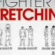 Best MMA Stretching Exercises For Flexibility & Power | Ultimate Guide to MMA: Training, Techniques, and Top Fighters in The World