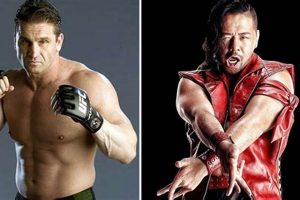 Top MMA Wrestlers: Grappling Dominance Ultimate Guide to MMA: Training, Techniques, and Top Fighters in The World Top MMA Wrestlers: Grappling Dominance | Ultimate Guide to MMA: Training, Techniques, and Top Fighters in The World